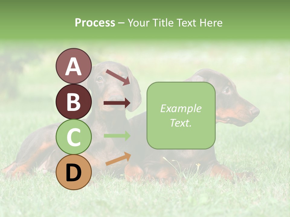 Two Young Brown Doberman Puppys PowerPoint Template