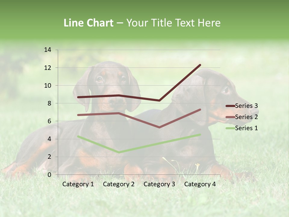 Two Young Brown Doberman Puppys PowerPoint Template