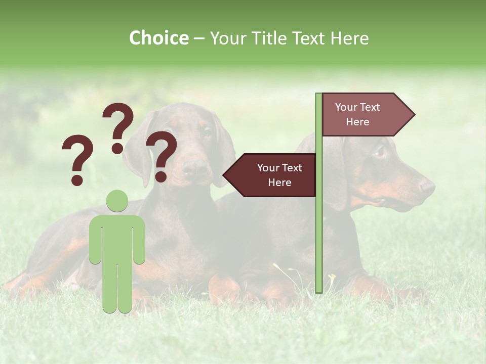 Two Young Brown Doberman Puppys PowerPoint Template
