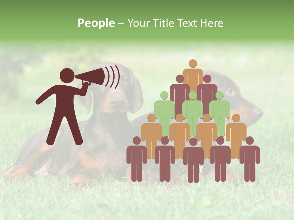 Two Young Brown Doberman Puppys PowerPoint Template