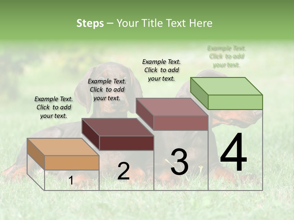 Two Young Brown Doberman Puppys PowerPoint Template