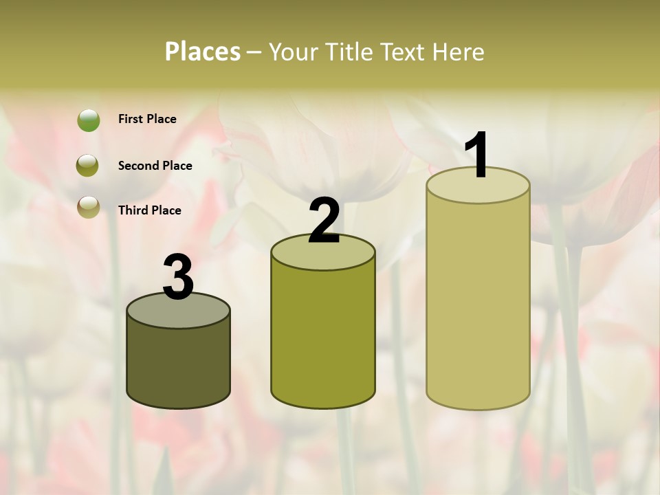 Close-Up Color Tulips - Selective Focus PowerPoint Template