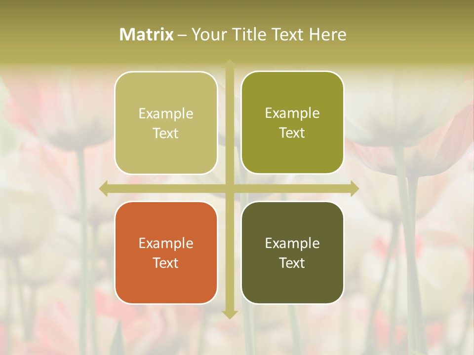 Close-Up Color Tulips - Selective Focus PowerPoint Template