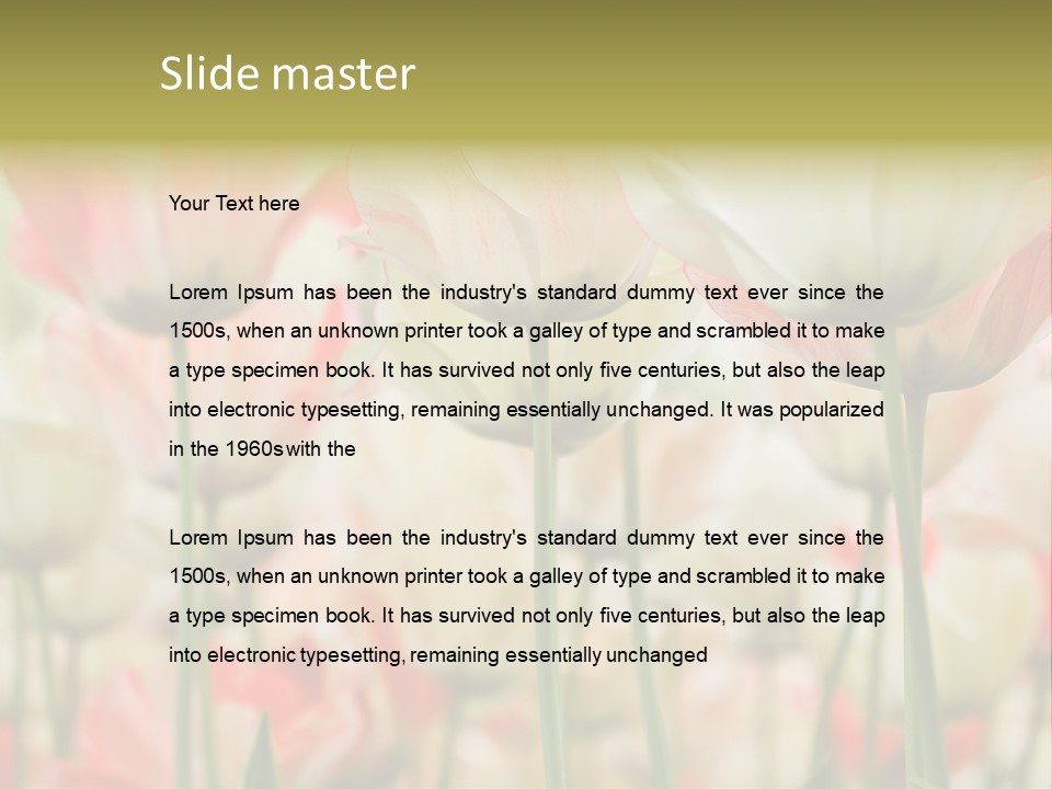 Close-Up Color Tulips - Selective Focus PowerPoint Template