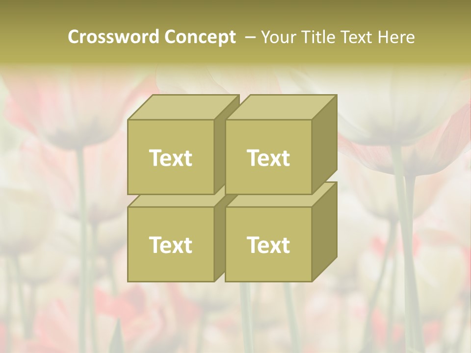 Close-Up Color Tulips - Selective Focus PowerPoint Template