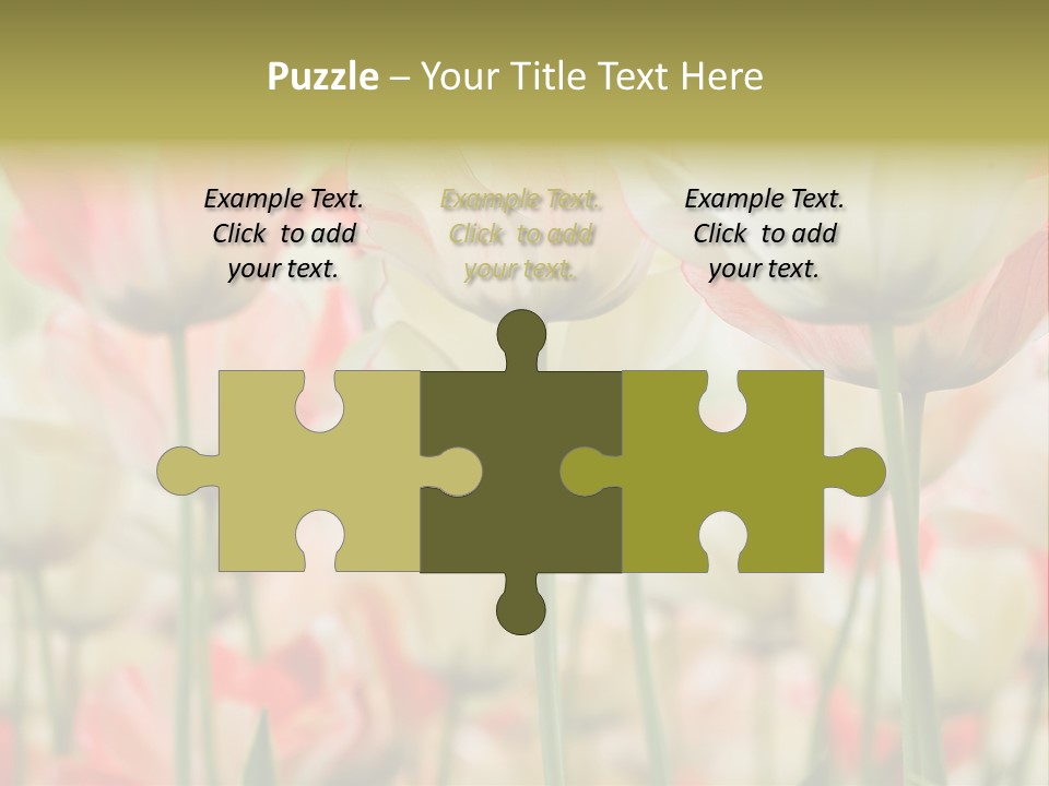 Close-Up Color Tulips - Selective Focus PowerPoint Template