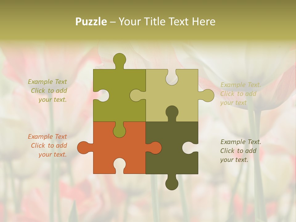 Close-Up Color Tulips - Selective Focus PowerPoint Template