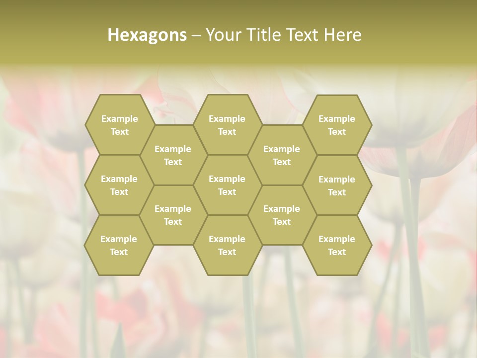 Close-Up Color Tulips - Selective Focus PowerPoint Template