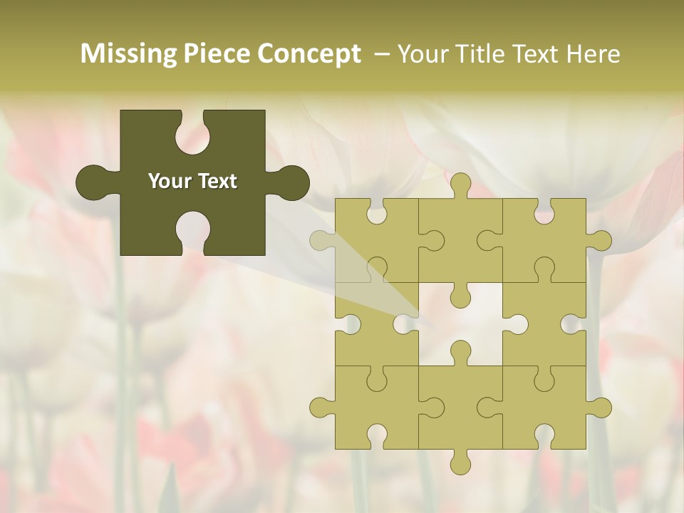 Close-Up Color Tulips - Selective Focus PowerPoint Template