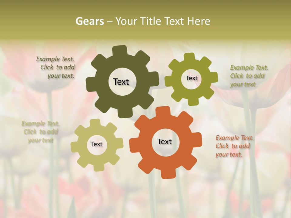 Close-Up Color Tulips - Selective Focus PowerPoint Template