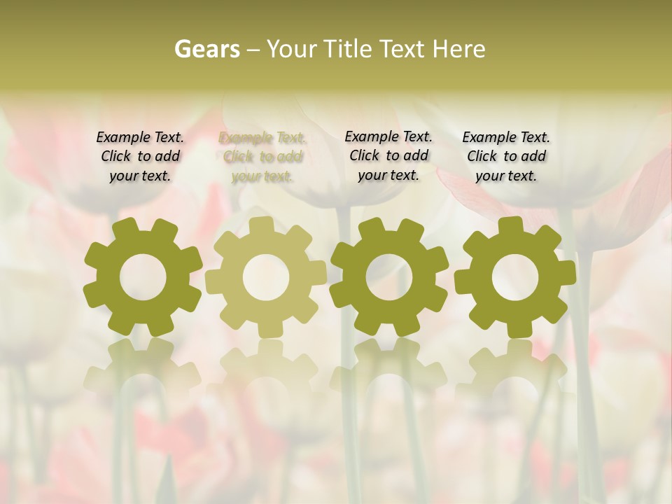 Close-Up Color Tulips - Selective Focus PowerPoint Template