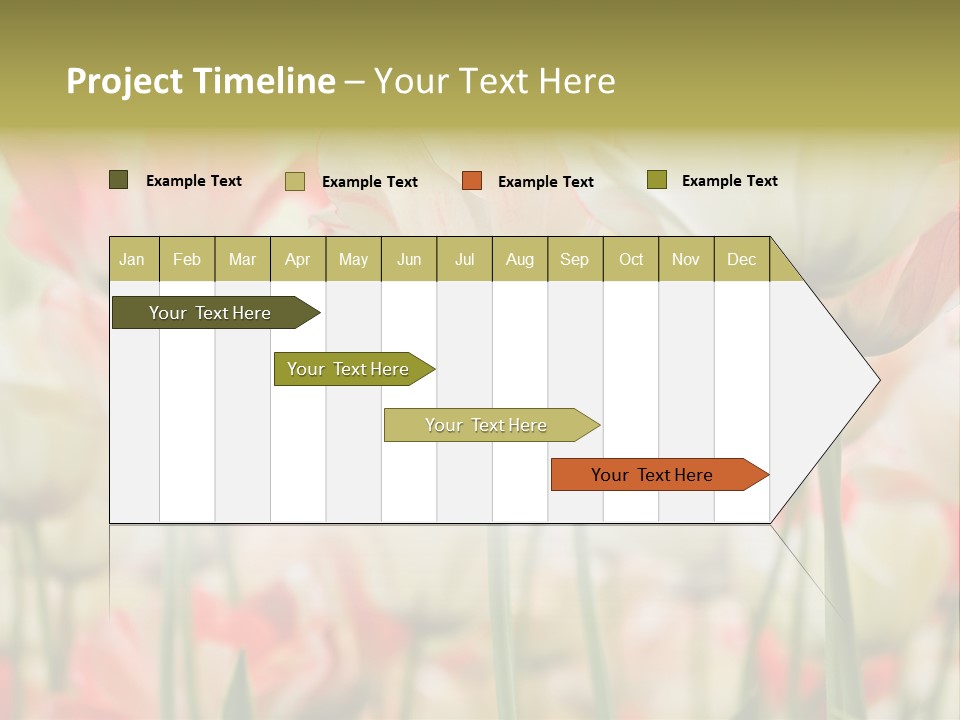 Close-Up Color Tulips - Selective Focus PowerPoint Template