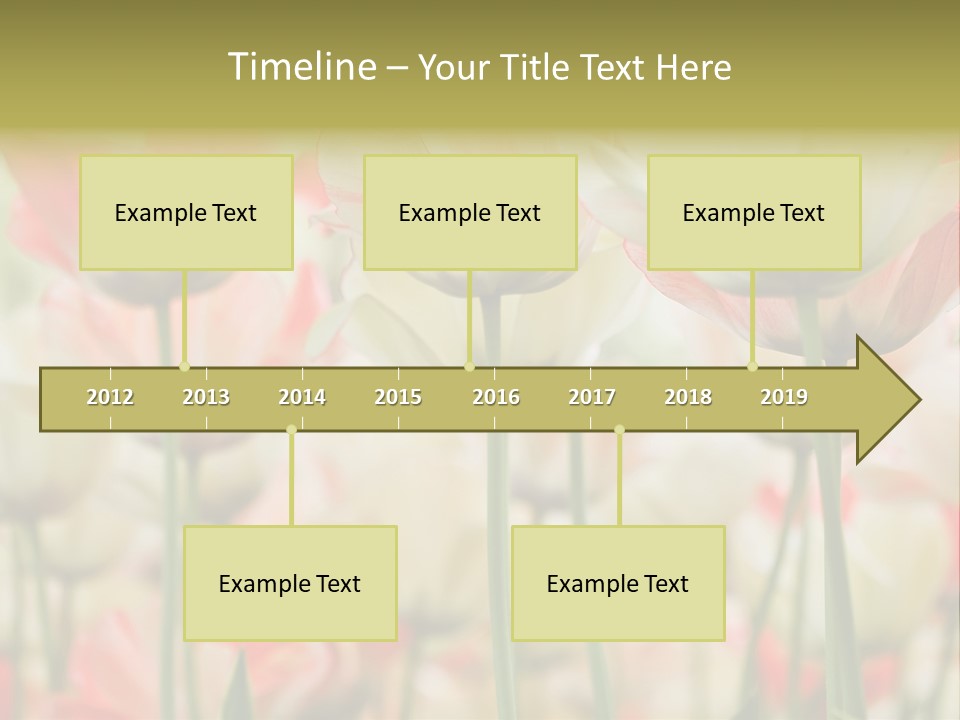 Close-Up Color Tulips - Selective Focus PowerPoint Template