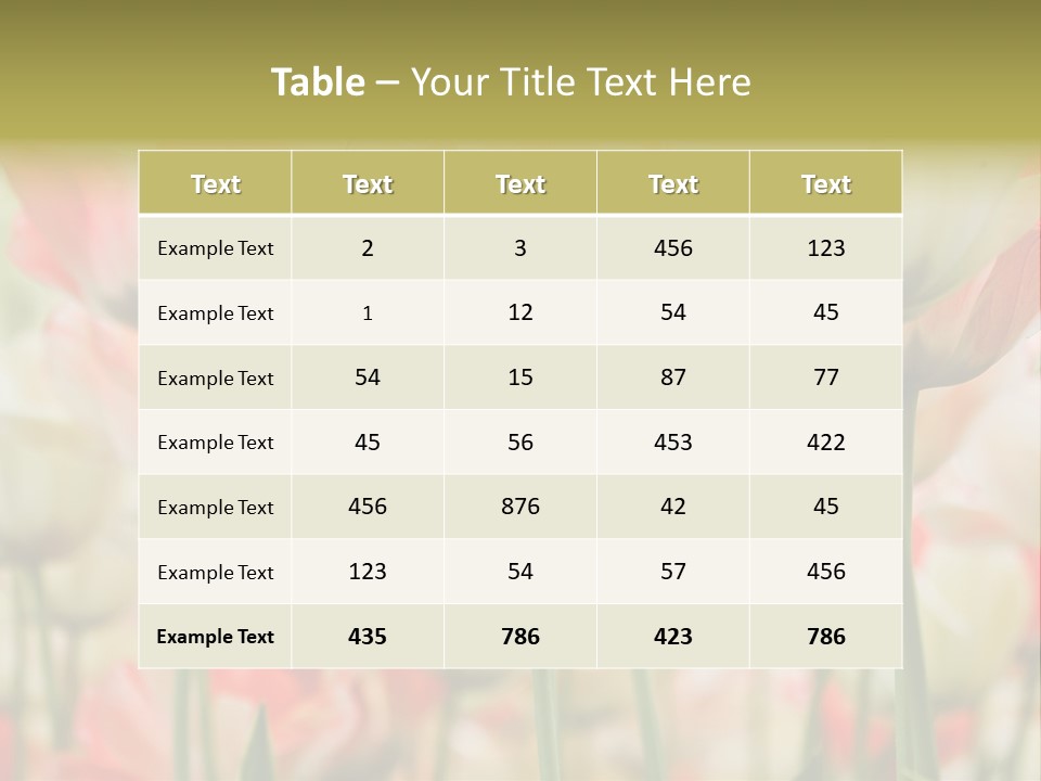 Close-Up Color Tulips - Selective Focus PowerPoint Template