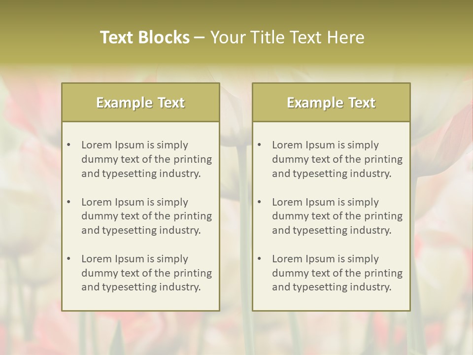 Close-Up Color Tulips - Selective Focus PowerPoint Template