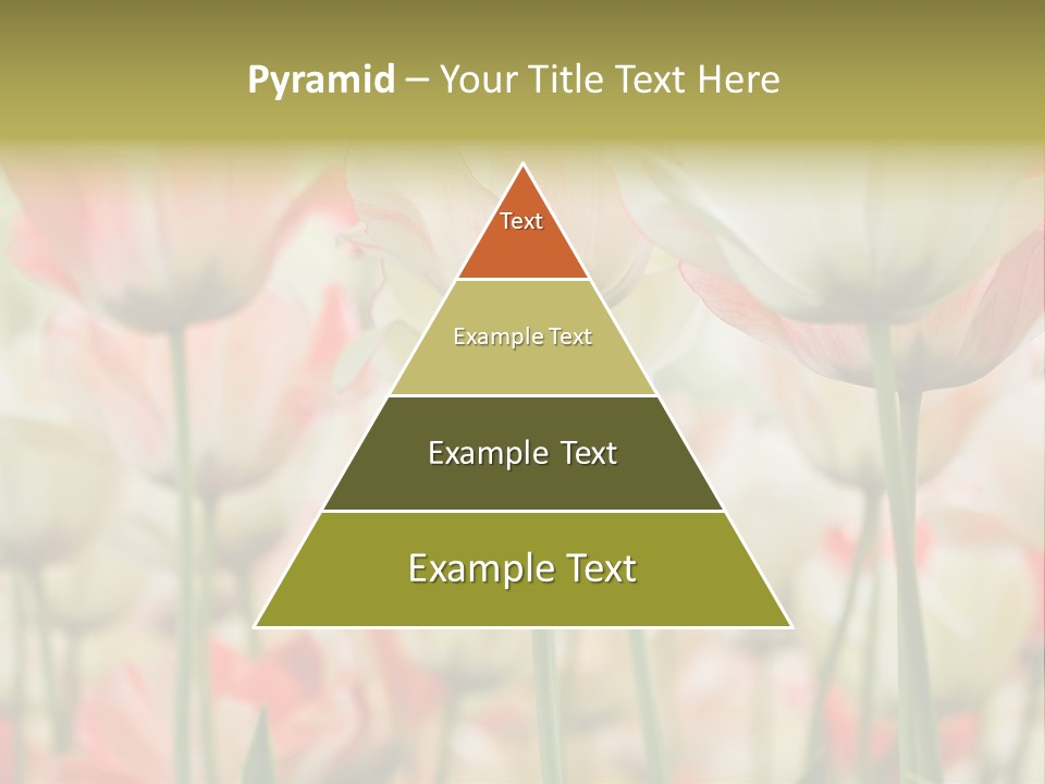 Close-Up Color Tulips - Selective Focus PowerPoint Template