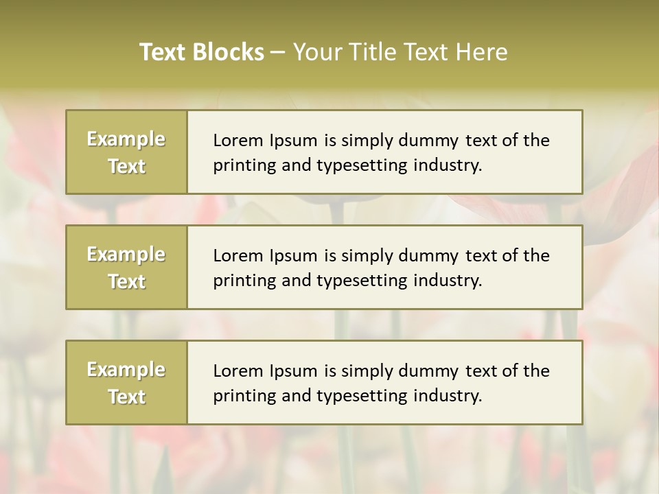 Close-Up Color Tulips - Selective Focus PowerPoint Template