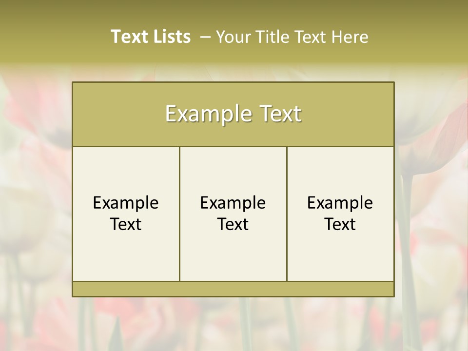 Close-Up Color Tulips - Selective Focus PowerPoint Template