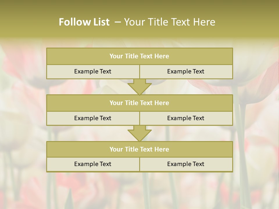 Close-Up Color Tulips - Selective Focus PowerPoint Template