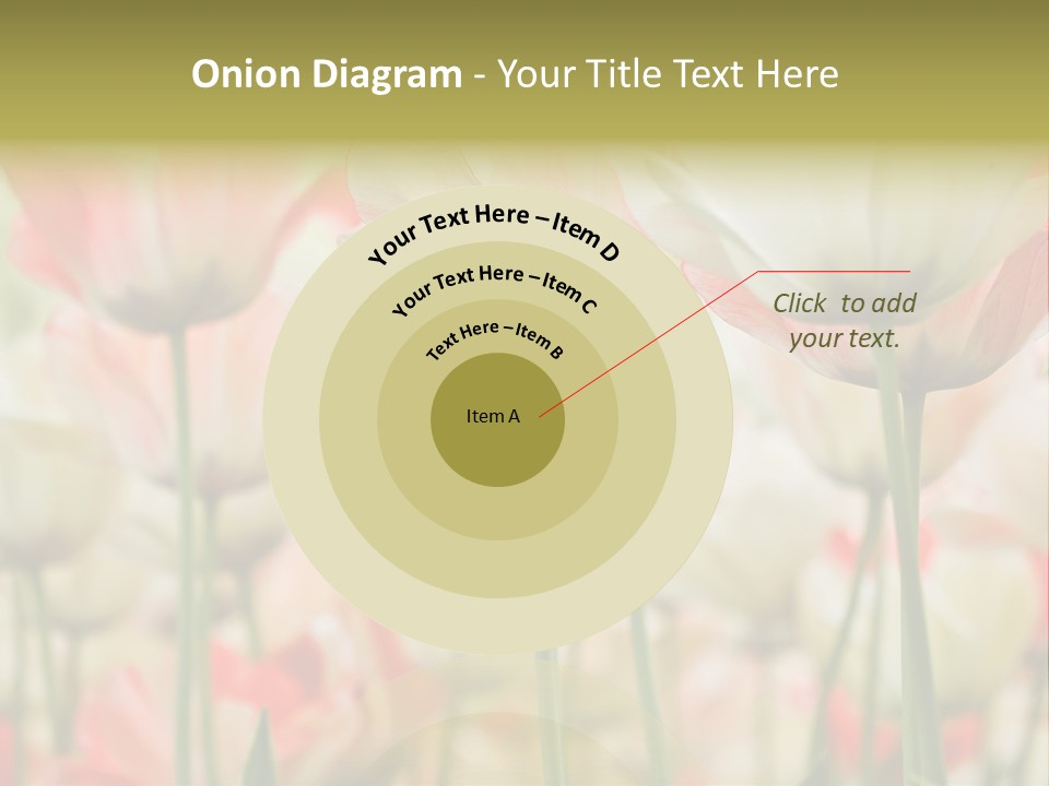 Close-Up Color Tulips - Selective Focus PowerPoint Template