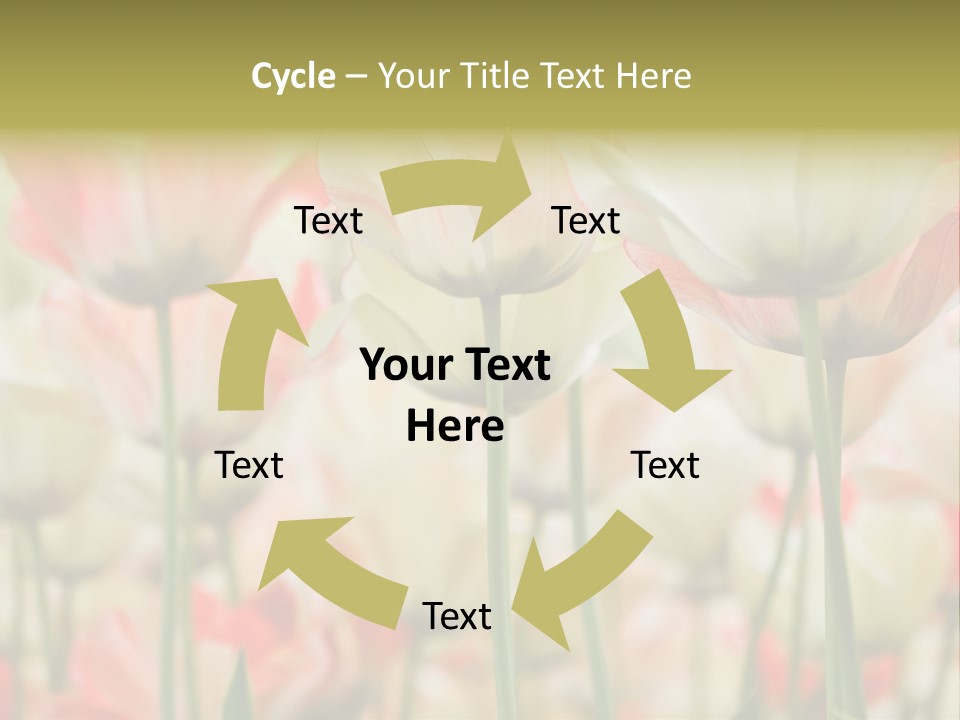 Close-Up Color Tulips - Selective Focus PowerPoint Template