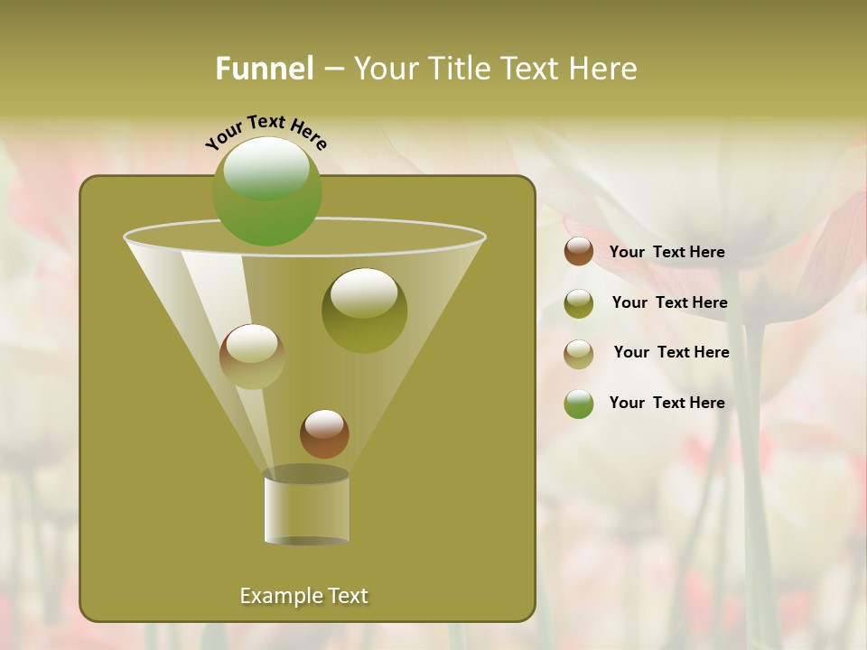 Close-Up Color Tulips - Selective Focus PowerPoint Template