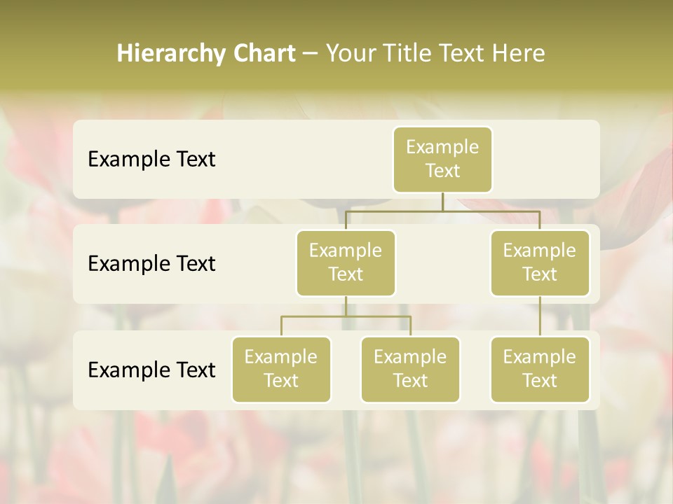 Close-Up Color Tulips - Selective Focus PowerPoint Template