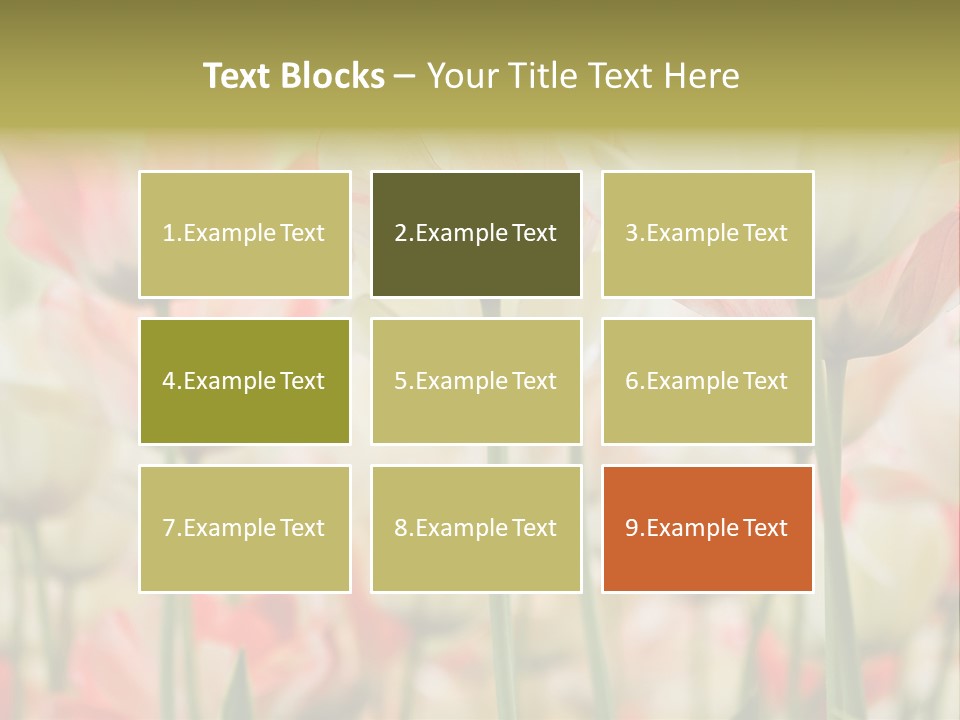 Close-Up Color Tulips - Selective Focus PowerPoint Template