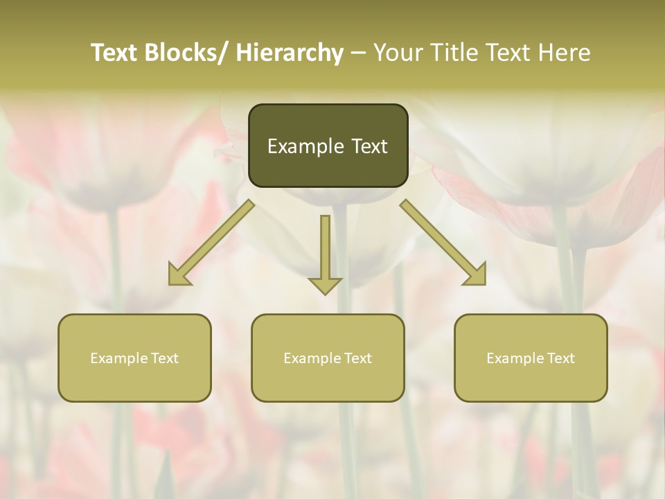 Close-Up Color Tulips - Selective Focus PowerPoint Template