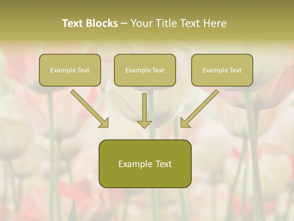 Close-Up Color Tulips - Selective Focus PowerPoint Template