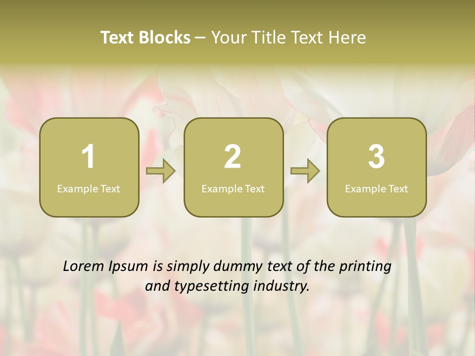 Close-Up Color Tulips - Selective Focus PowerPoint Template