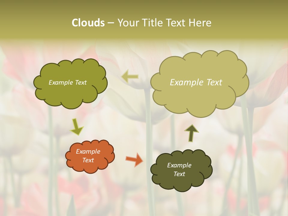 Close-Up Color Tulips - Selective Focus PowerPoint Template