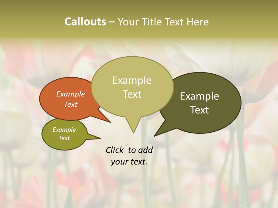 Close-Up Color Tulips - Selective Focus PowerPoint Template