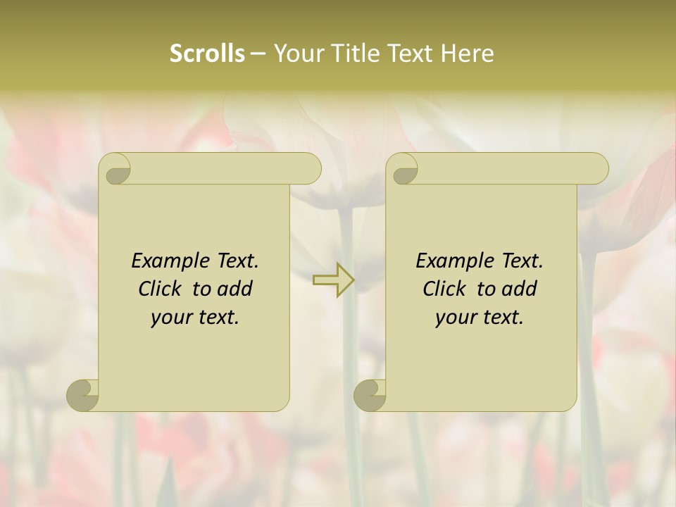 Close-Up Color Tulips - Selective Focus PowerPoint Template