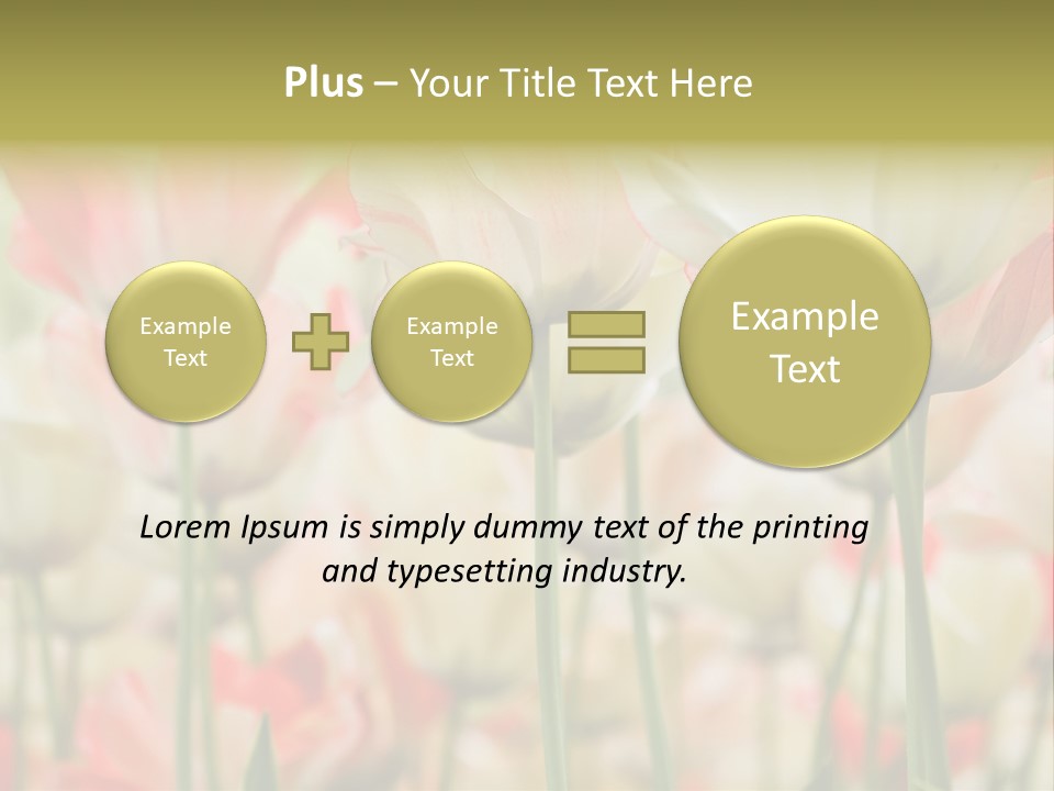 Close-Up Color Tulips - Selective Focus PowerPoint Template