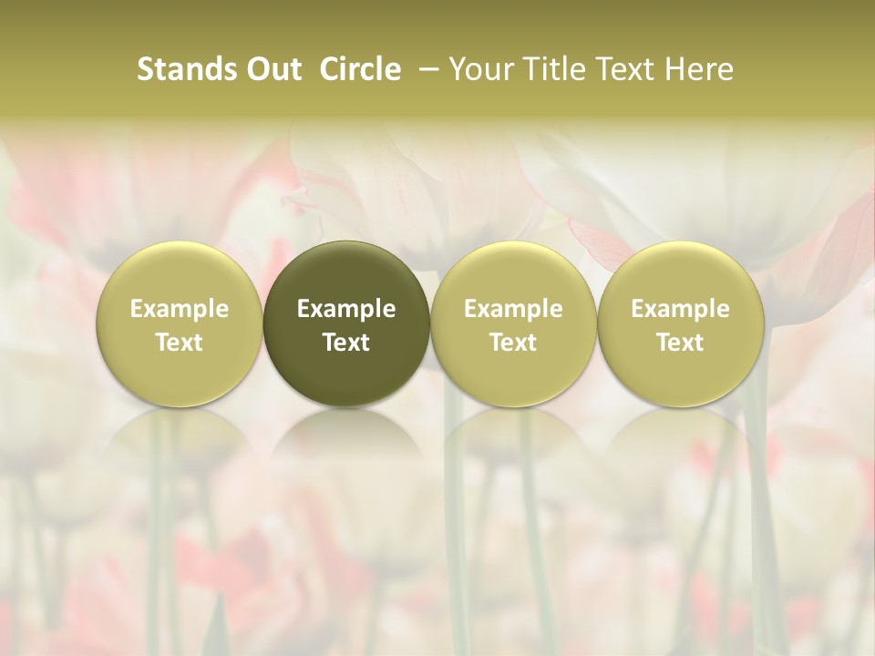 Close-Up Color Tulips - Selective Focus PowerPoint Template