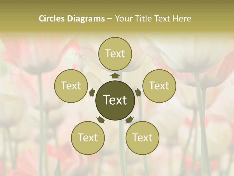 Close-Up Color Tulips - Selective Focus PowerPoint Template