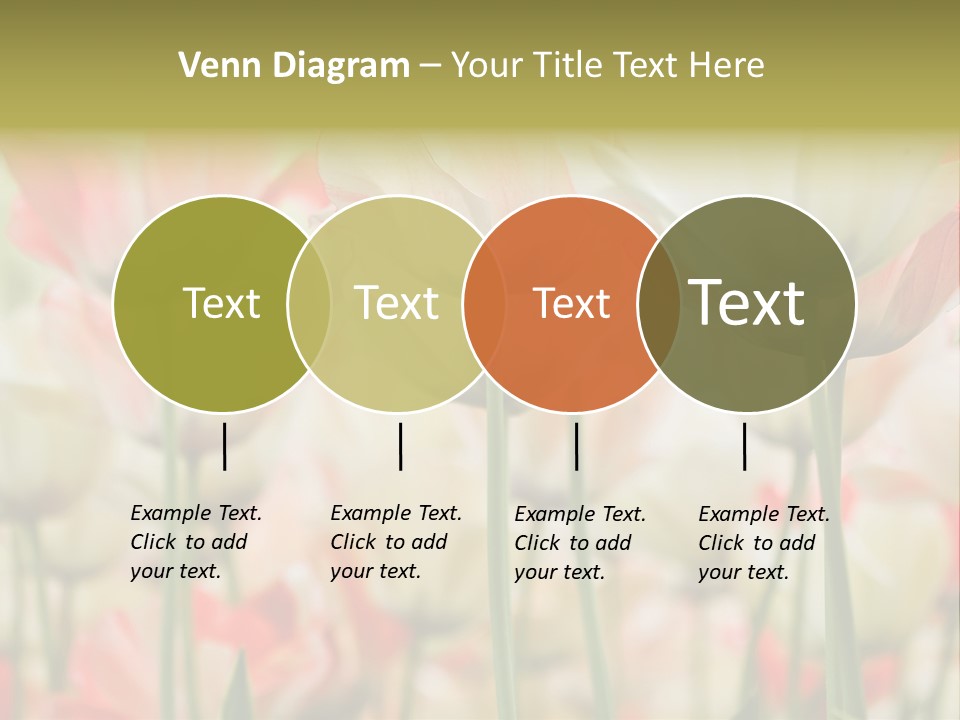 Close-Up Color Tulips - Selective Focus PowerPoint Template