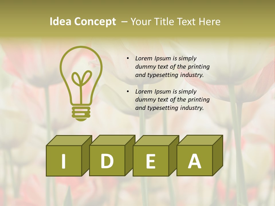 Close-Up Color Tulips - Selective Focus PowerPoint Template