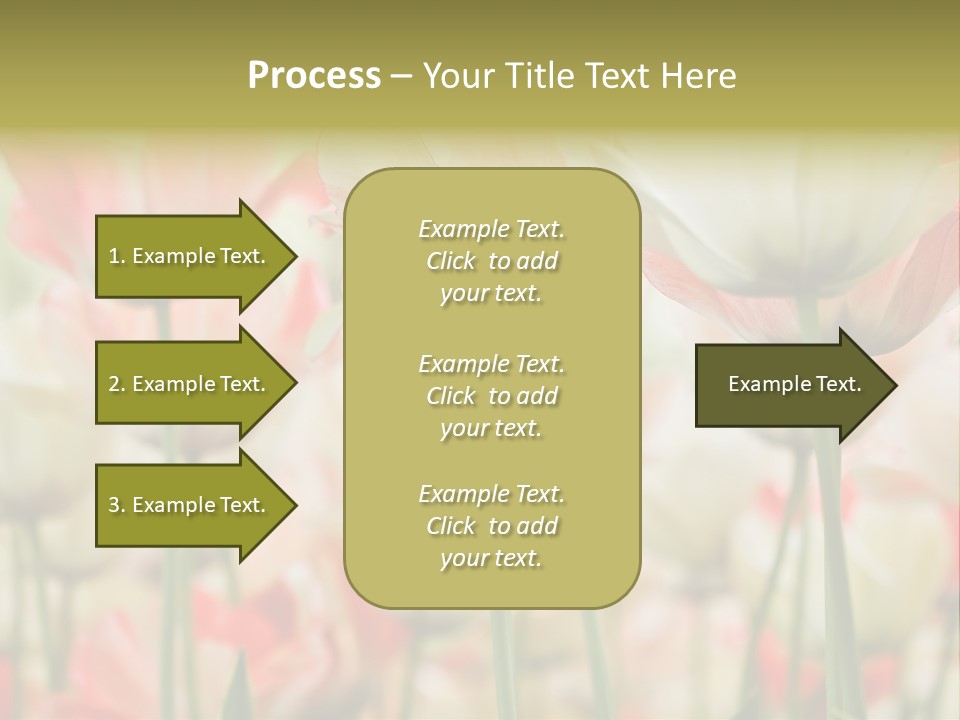 Close-Up Color Tulips - Selective Focus PowerPoint Template
