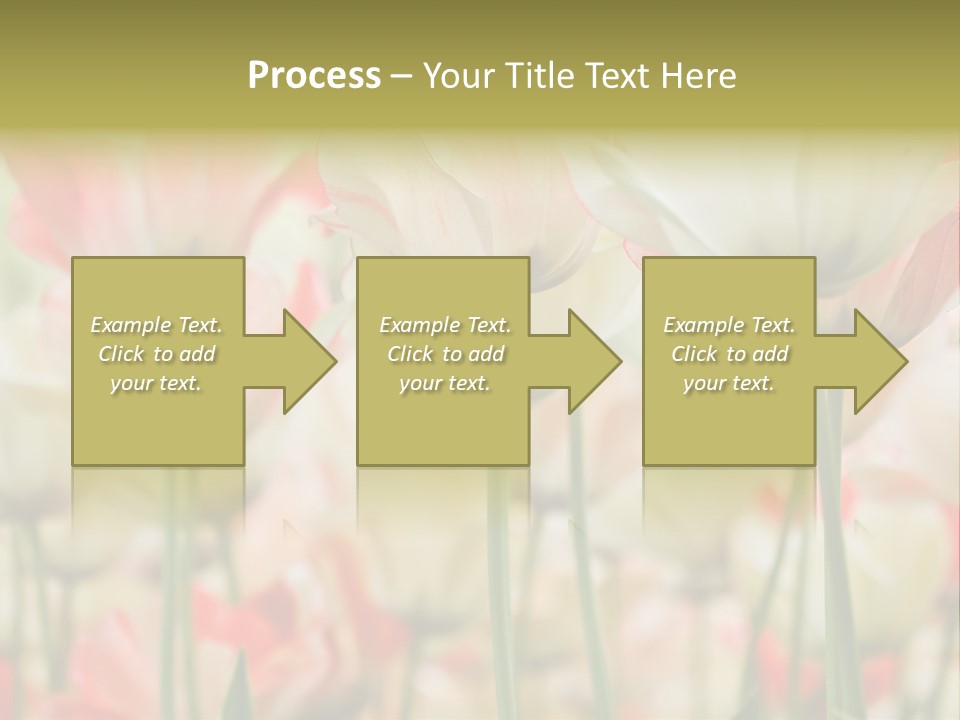 Close-Up Color Tulips - Selective Focus PowerPoint Template