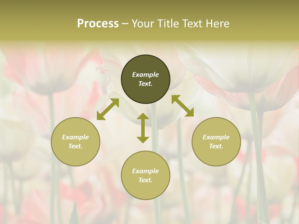 Close-Up Color Tulips - Selective Focus PowerPoint Template