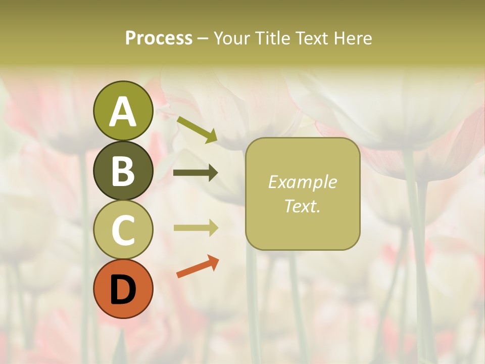 Close-Up Color Tulips - Selective Focus PowerPoint Template