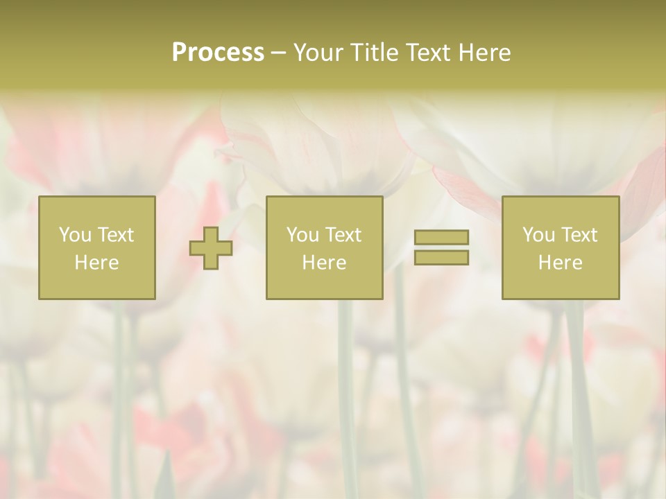 Close-Up Color Tulips - Selective Focus PowerPoint Template