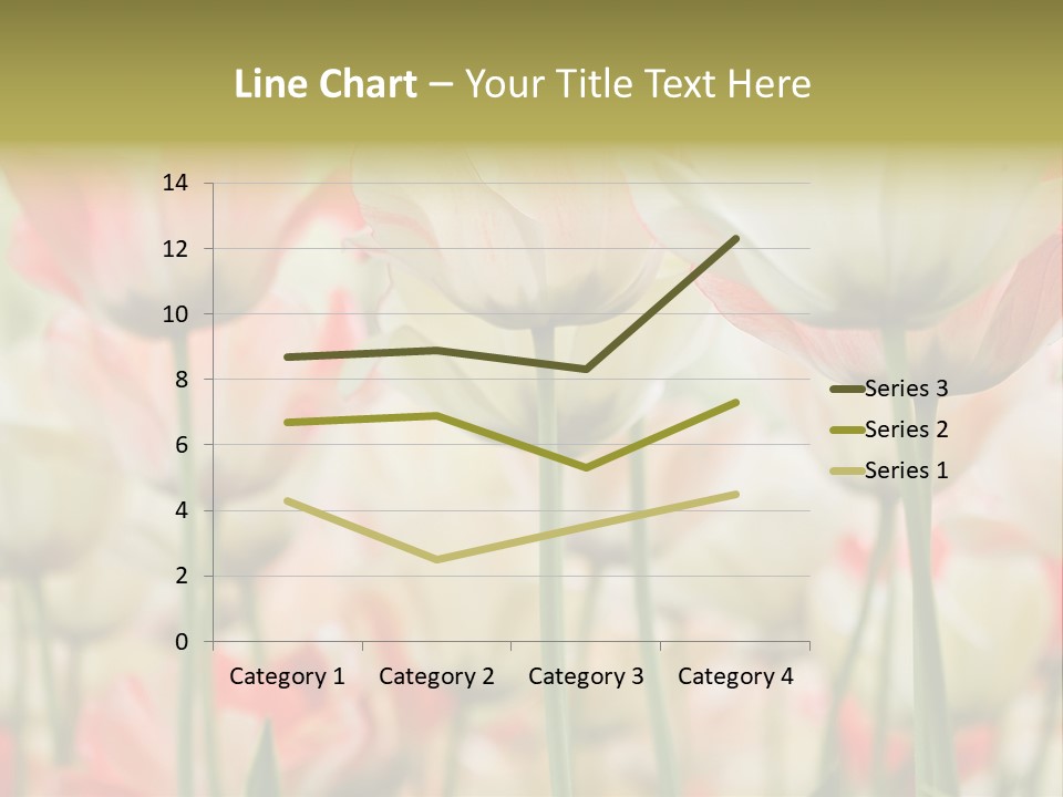 Close-Up Color Tulips - Selective Focus PowerPoint Template
