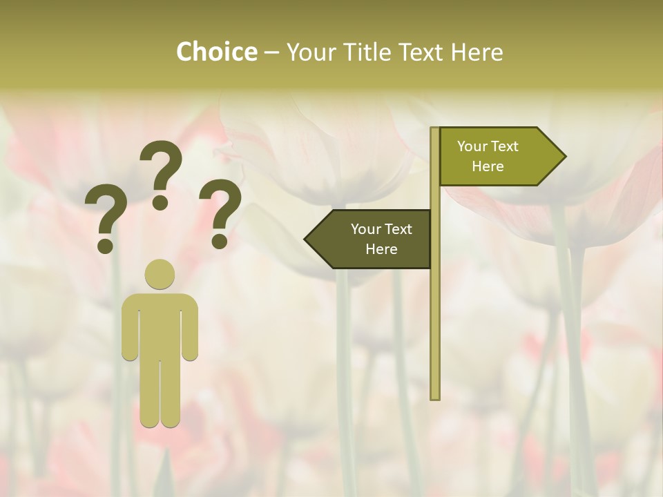 Close-Up Color Tulips - Selective Focus PowerPoint Template