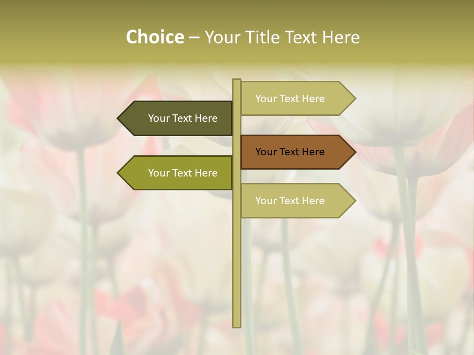 Close-Up Color Tulips - Selective Focus PowerPoint Template