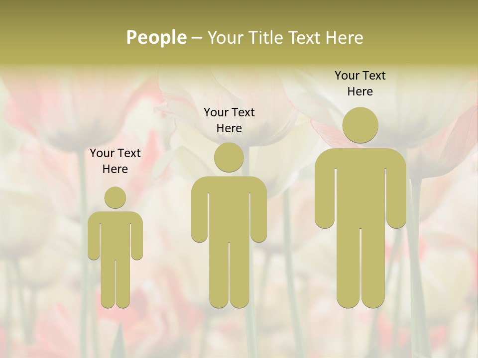 Close-Up Color Tulips - Selective Focus PowerPoint Template