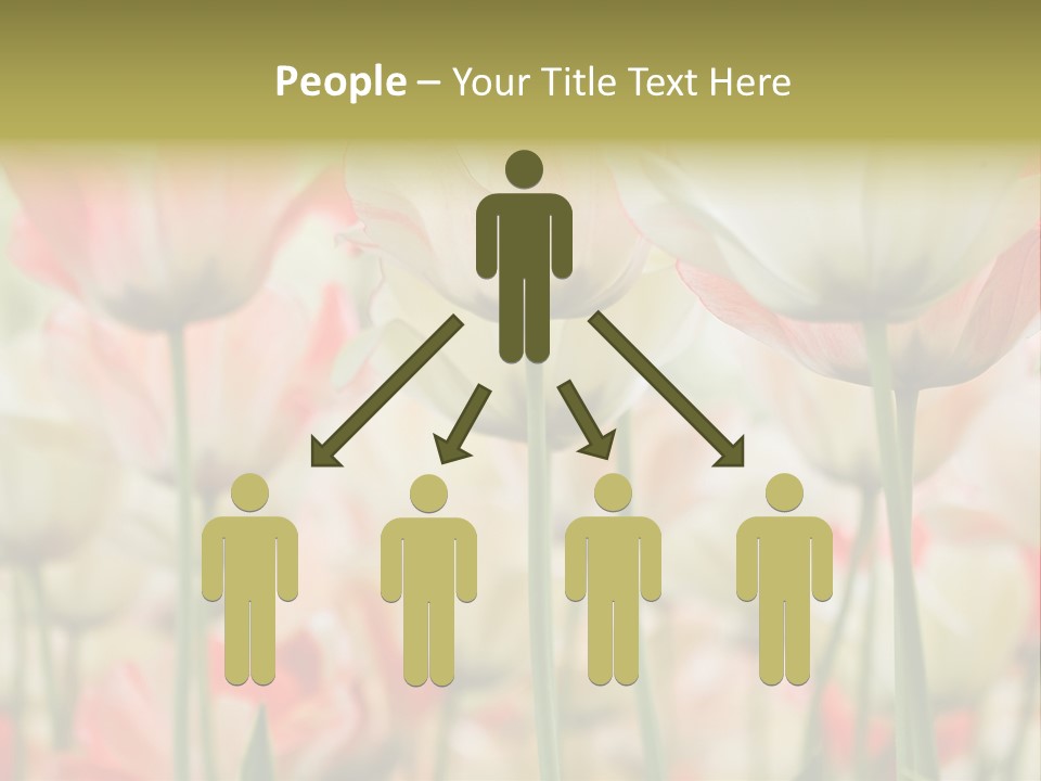 Close-Up Color Tulips - Selective Focus PowerPoint Template