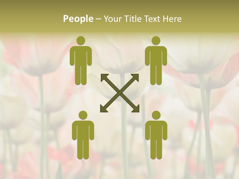 Close-Up Color Tulips - Selective Focus PowerPoint Template